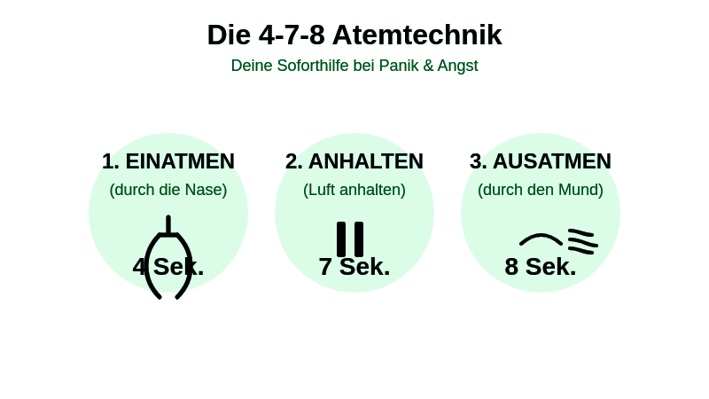 Symptome einer nächtlichen Panikattacke Grafik, die Symptome wie Herzrasen, Atemnot und Schwindel bei einer Panikattacke zeigt.